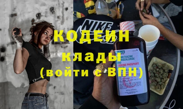 хмурый Алзамай