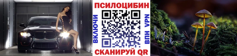 Галлюциногенные грибы MAGIC MUSHROOMS  сколько стоит  mega ССЫЛКА  Каневская 